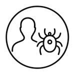 Borreliose Borreliose